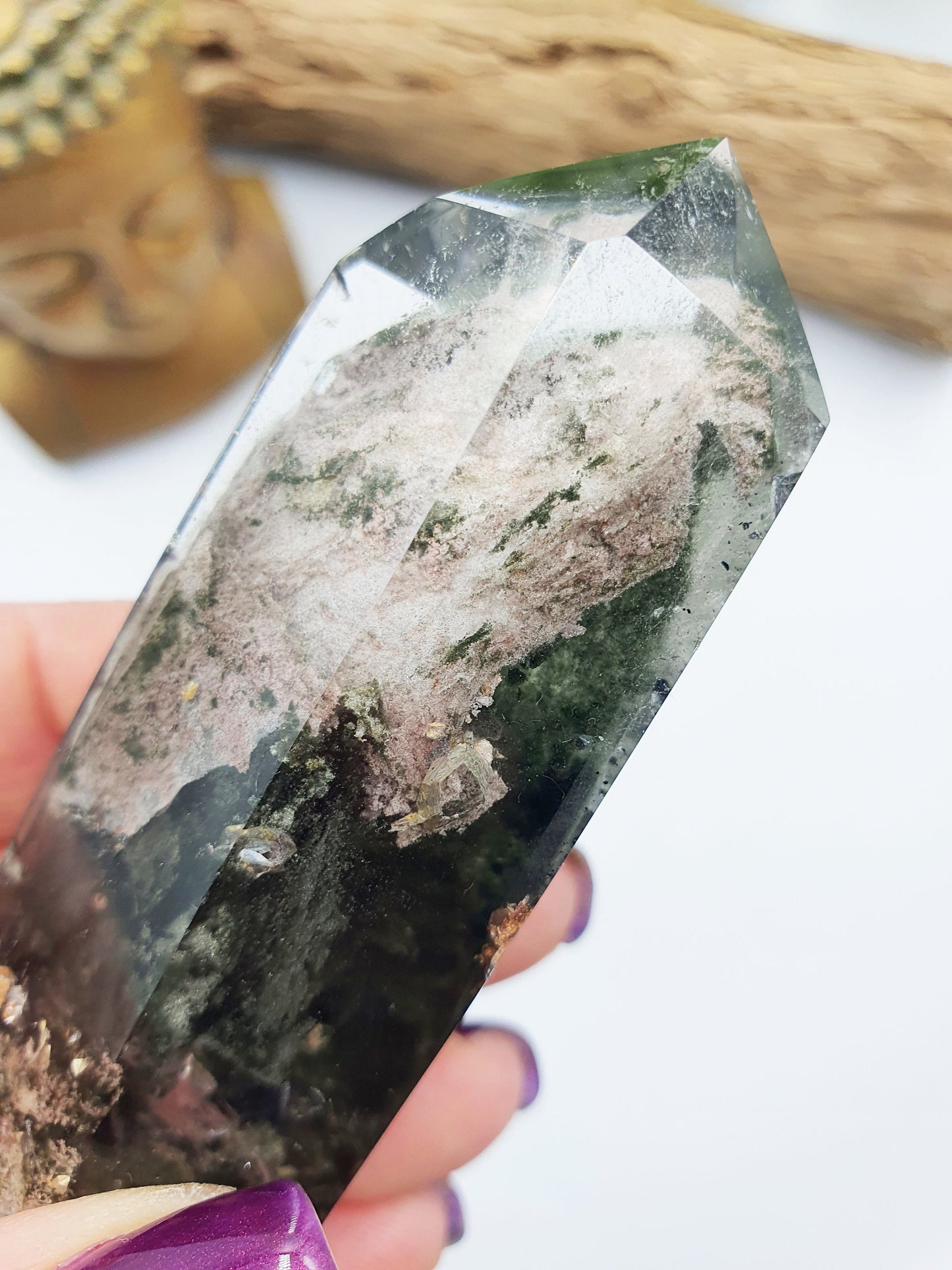 Garden Quartz (Lodolite) DT