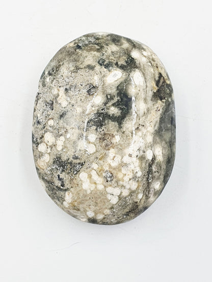Large Ocean Jasper Palm