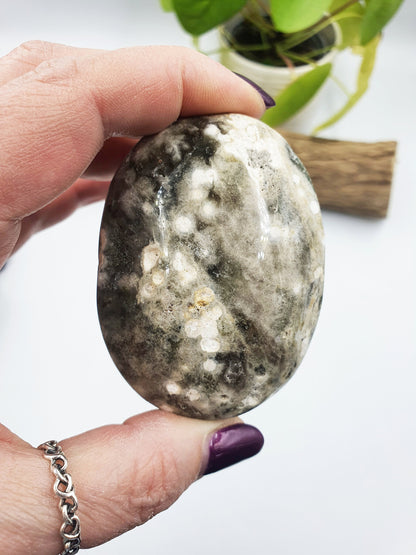 Large Ocean Jasper Palm