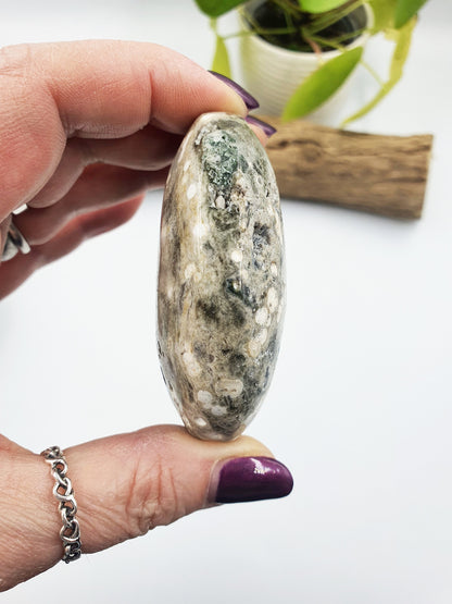 Large Ocean Jasper Palm