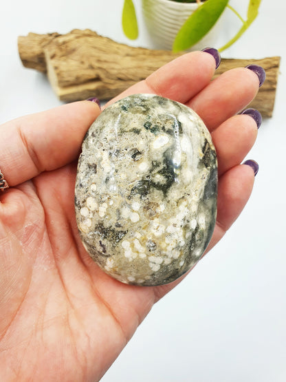 Large Ocean Jasper Palm