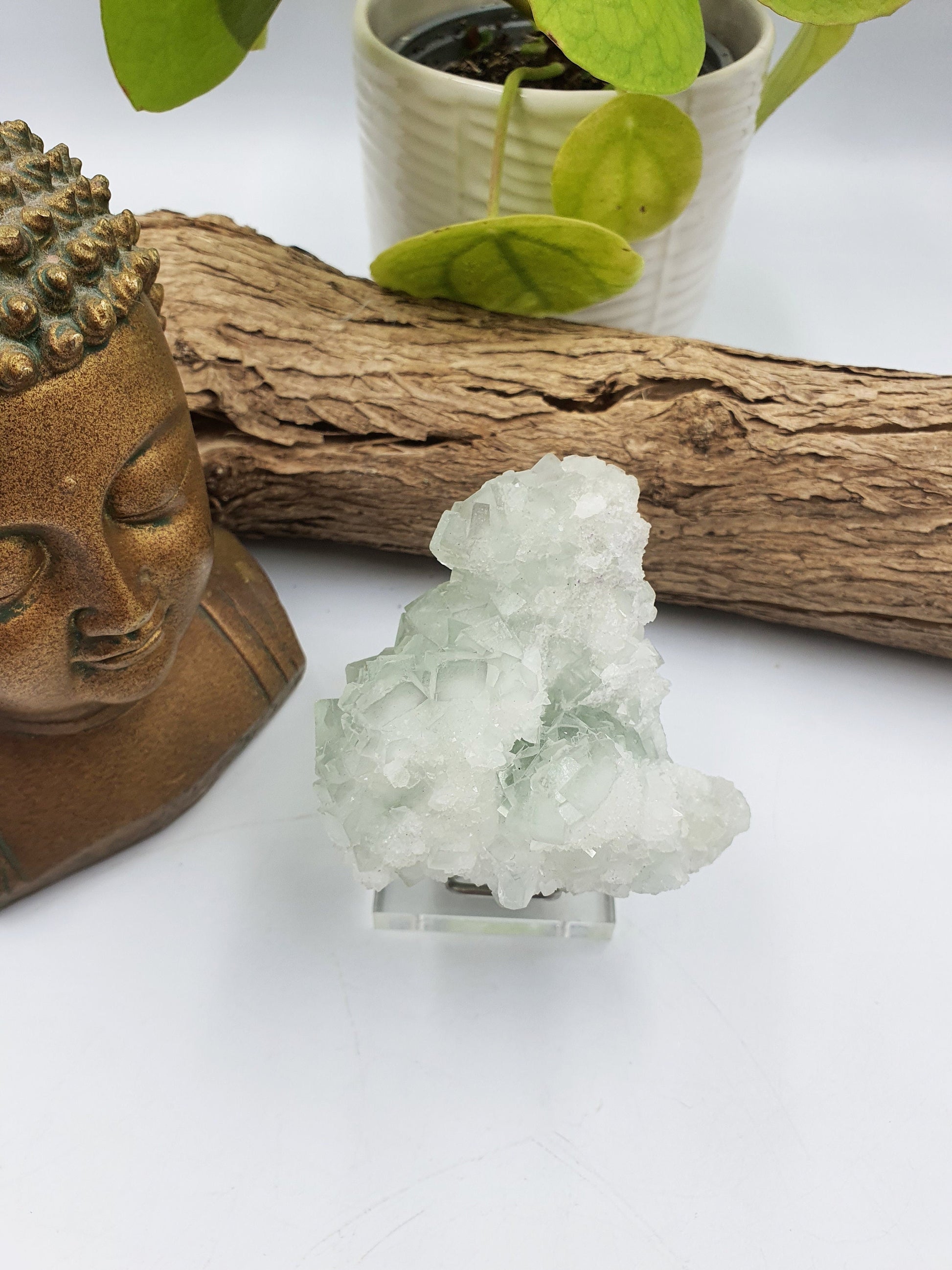Raw Fluorite