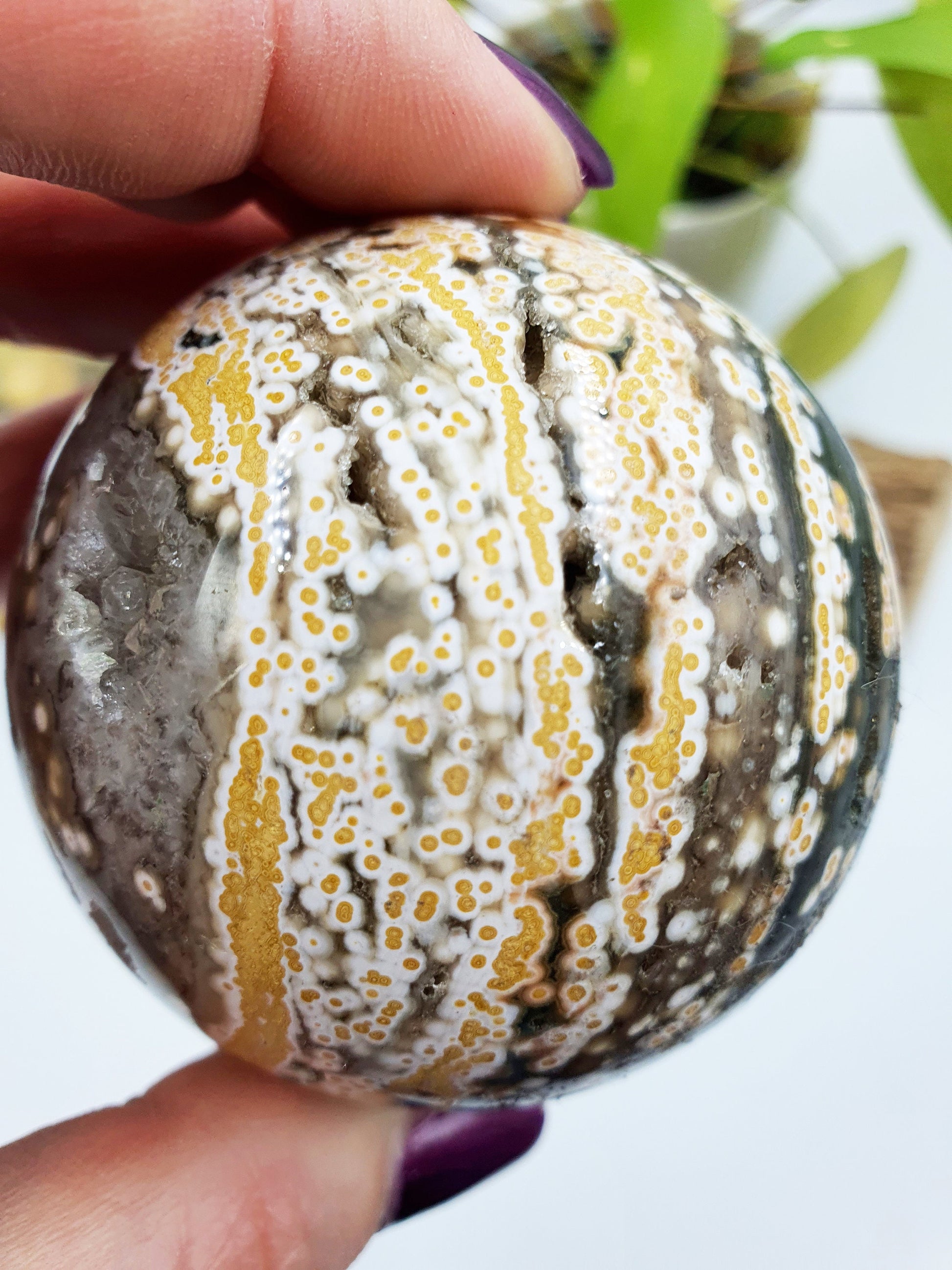Orbicular Ocean Jasper Sphere
