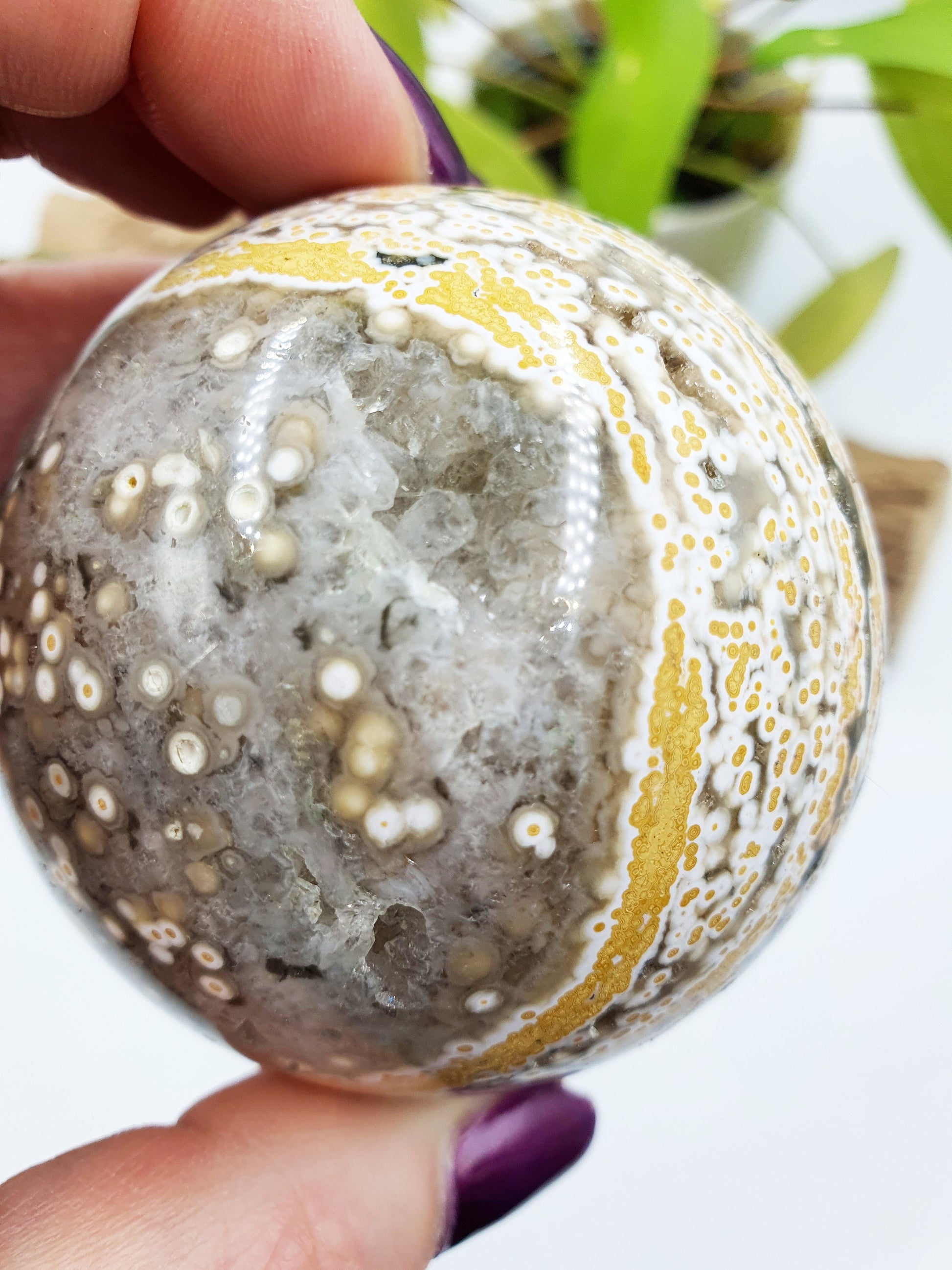 Orbicular Ocean Jasper Sphere