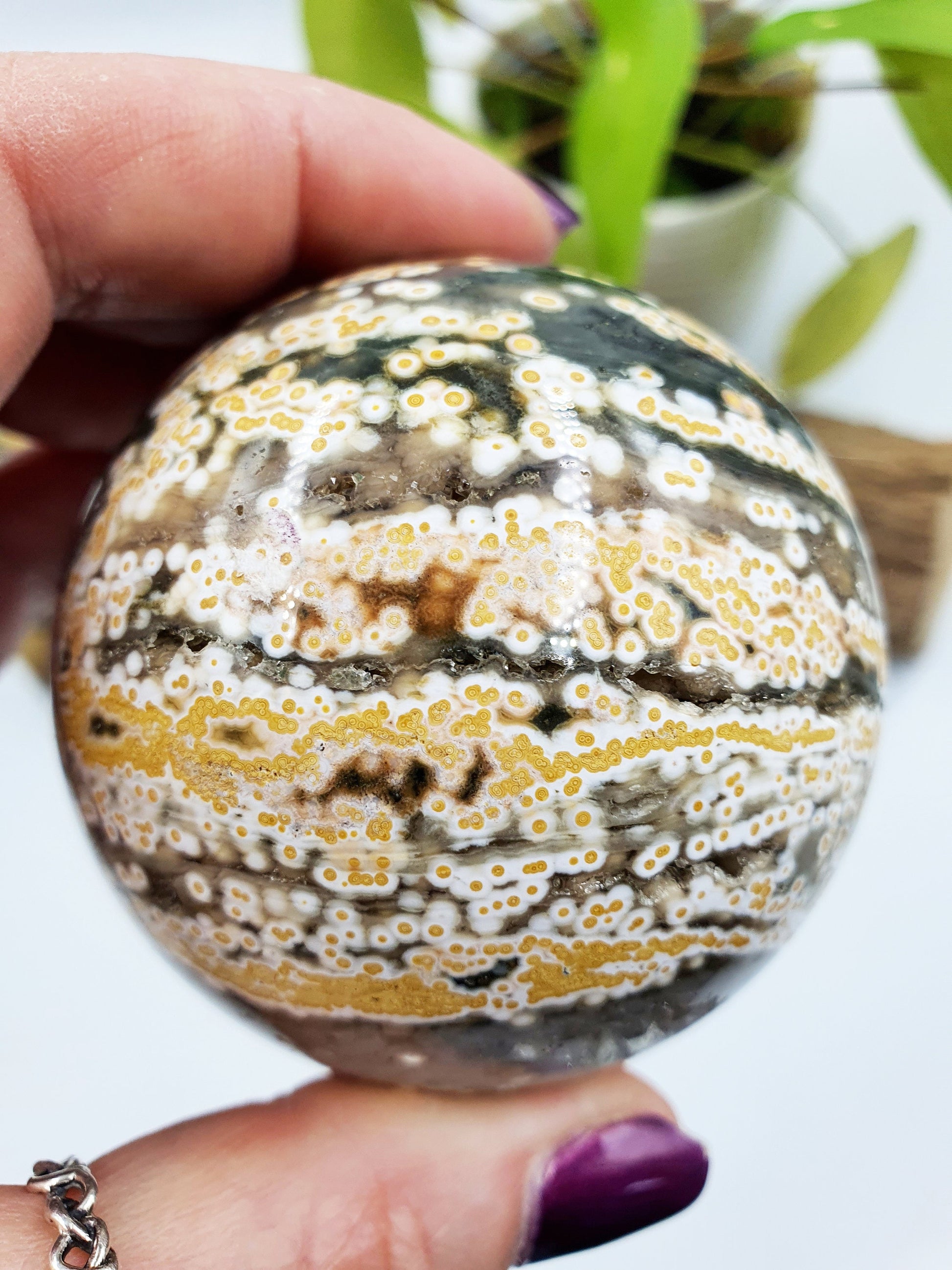 Orbicular Ocean Jasper Sphere