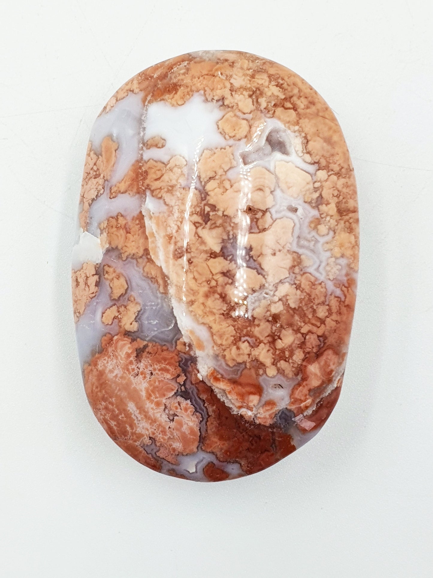 Large Pink Agate Palm