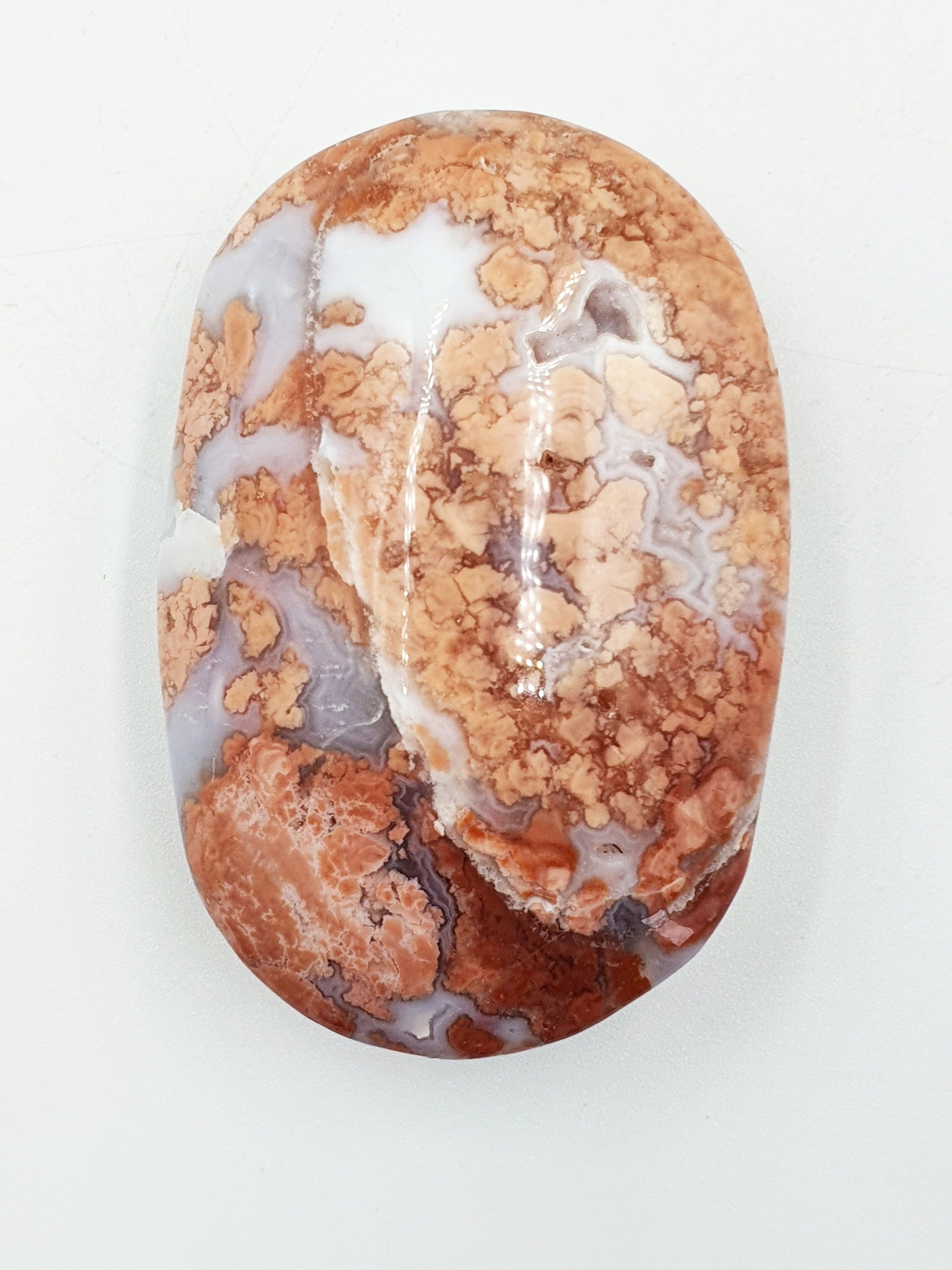 Large Pink Agate Palm