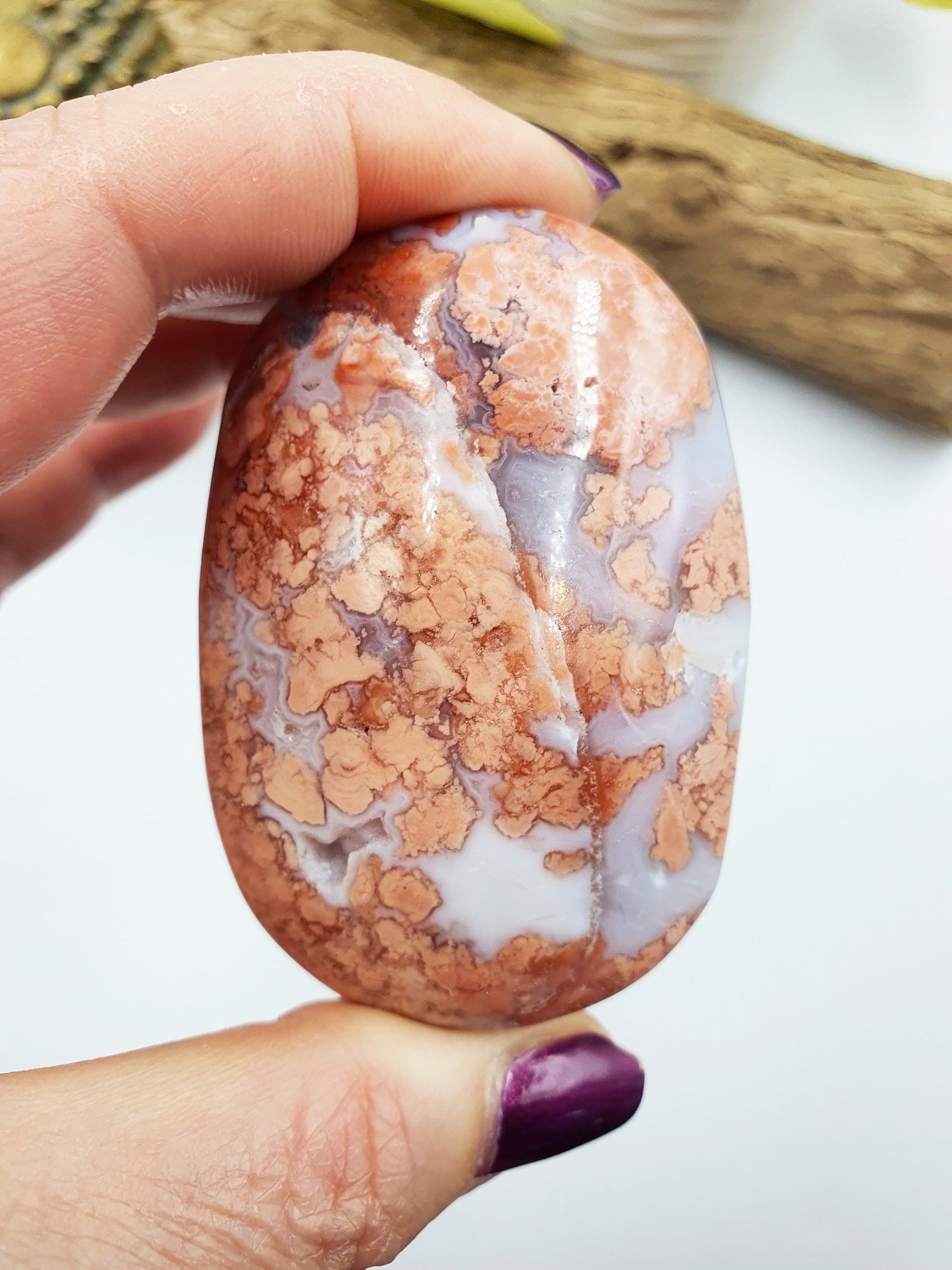 Large Pink Agate Palm