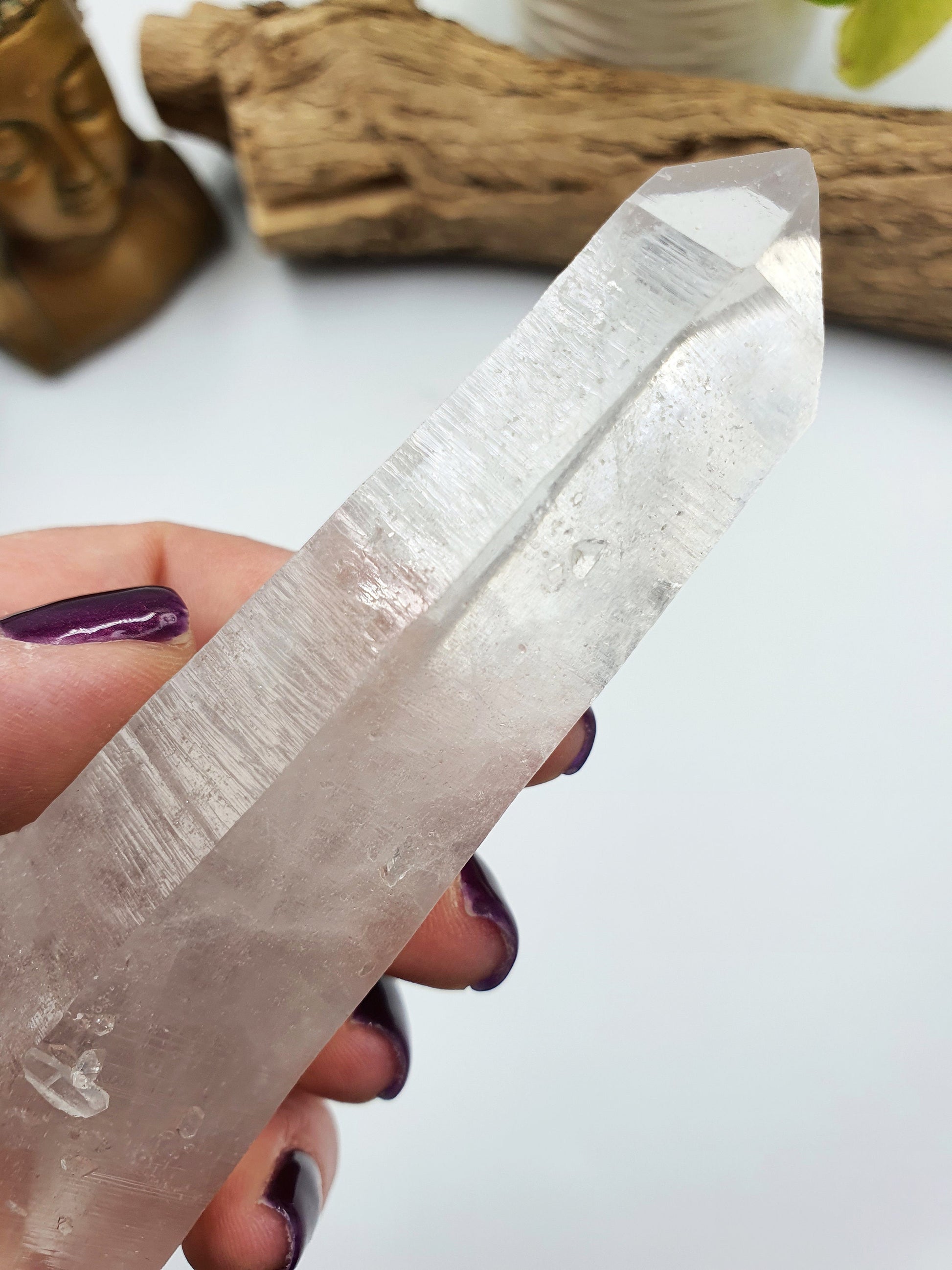 Rare Large Lemurian Seed Quartz DT