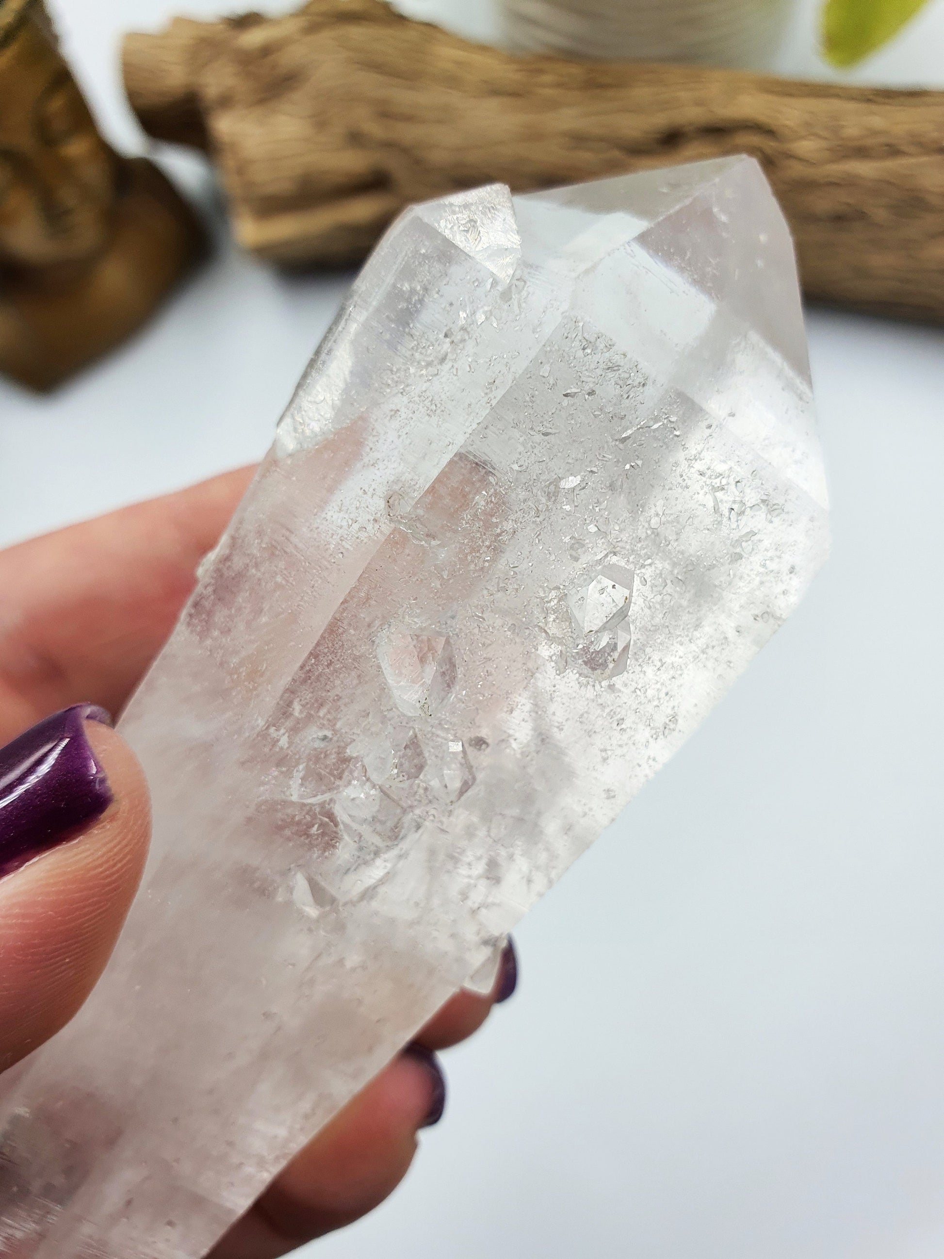 Rare Large Lemurian Seed Quartz DT