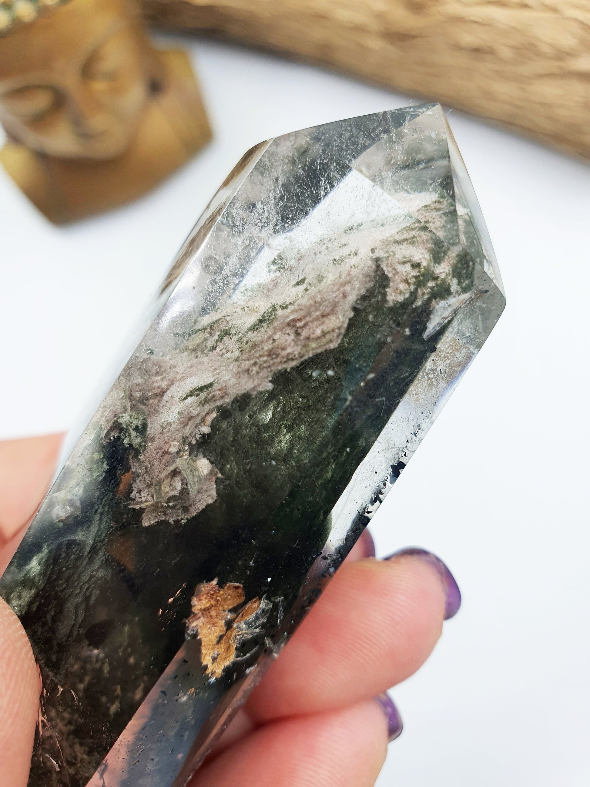 Garden Quartz (Lodolite) DT