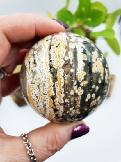 Orbicular Ocean Jasper Sphere
