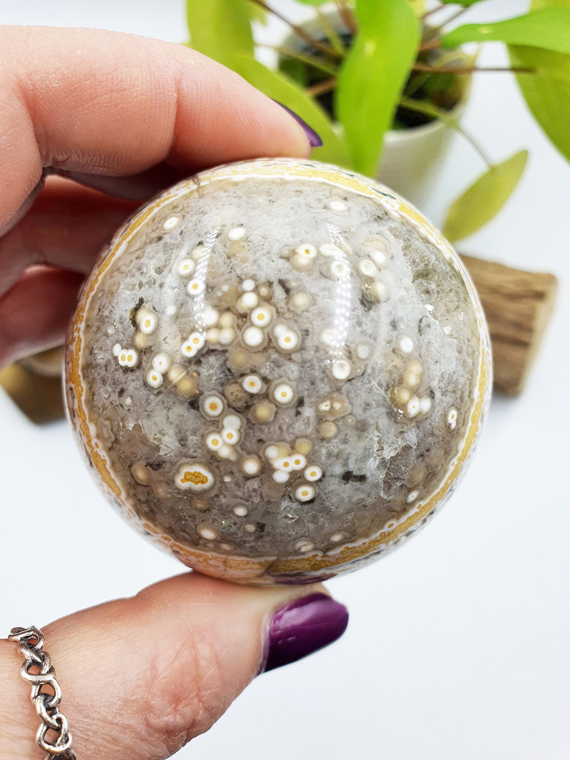 Orbicular Ocean Jasper Sphere