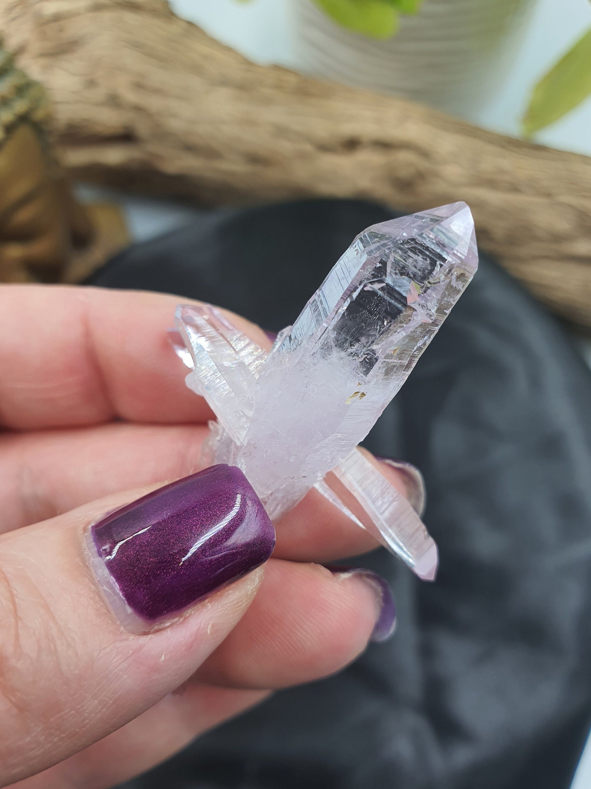 Vera Cruz Amethyst Cluster