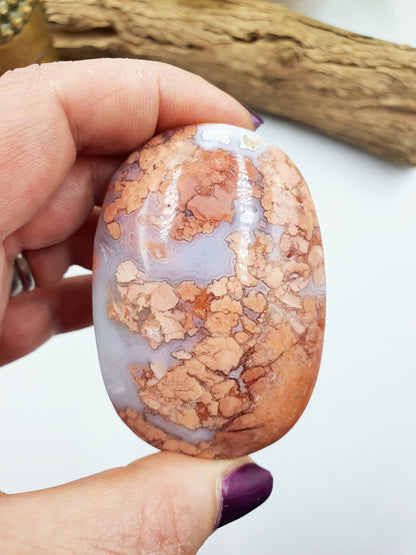 Large Pink Agate Palm