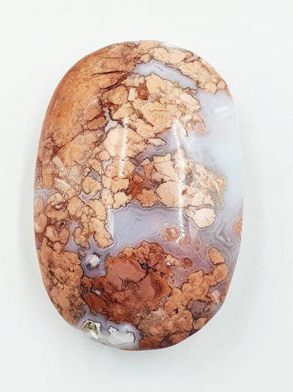 Large Pink Agate Palm