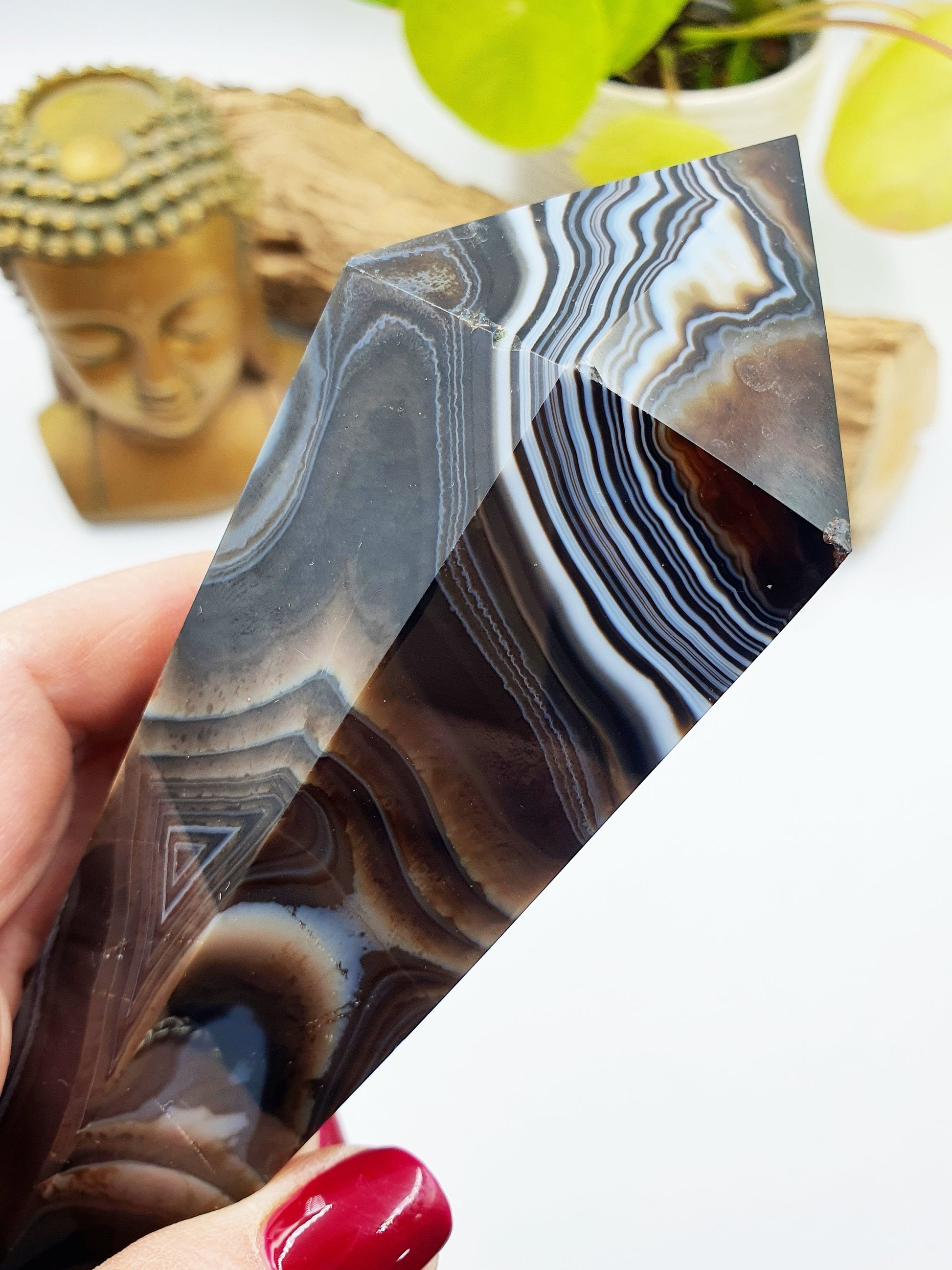 Large Black Banded Agate Sceptre