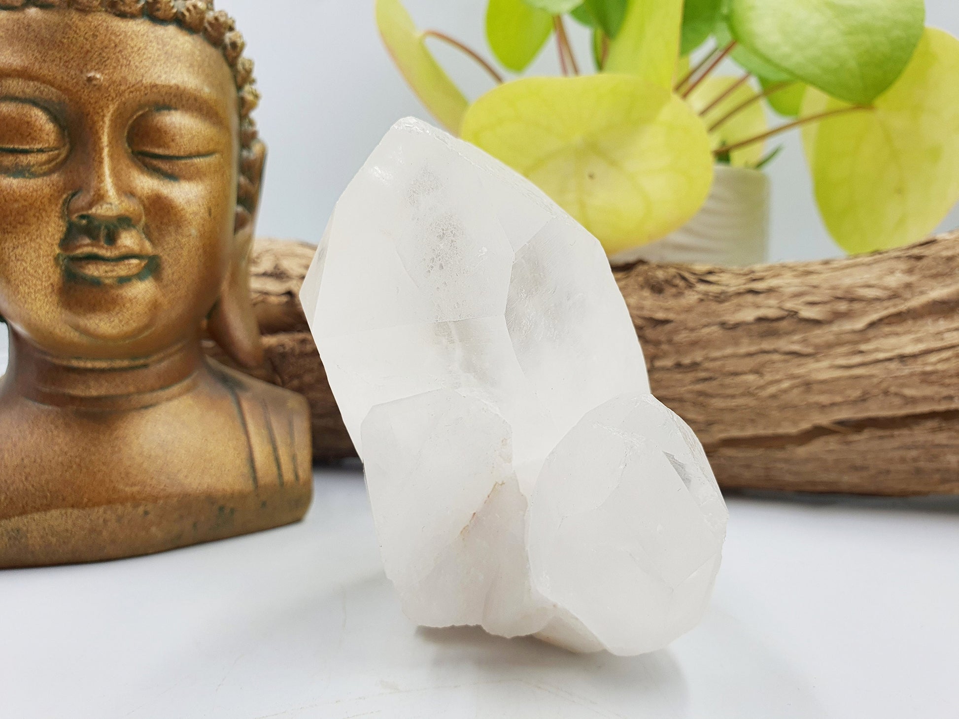 Clear Quartz Cluster
