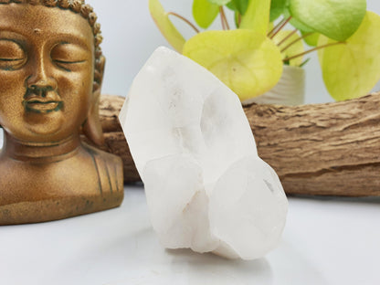 Clear Quartz Cluster