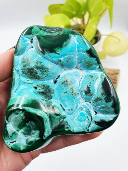 Polished Chrysocolla & Malachite Specimen