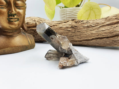 Smoky Quartz Raw Crystal Cluster