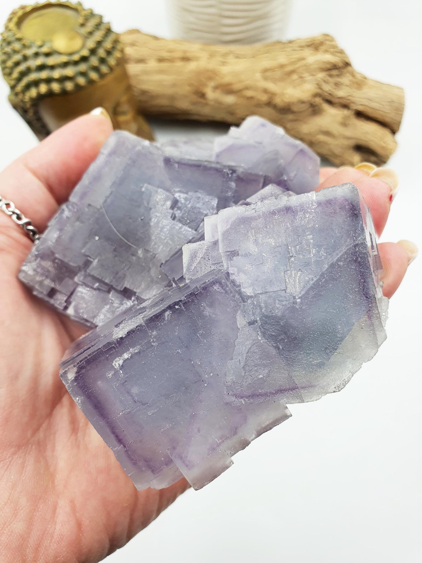 Lilac