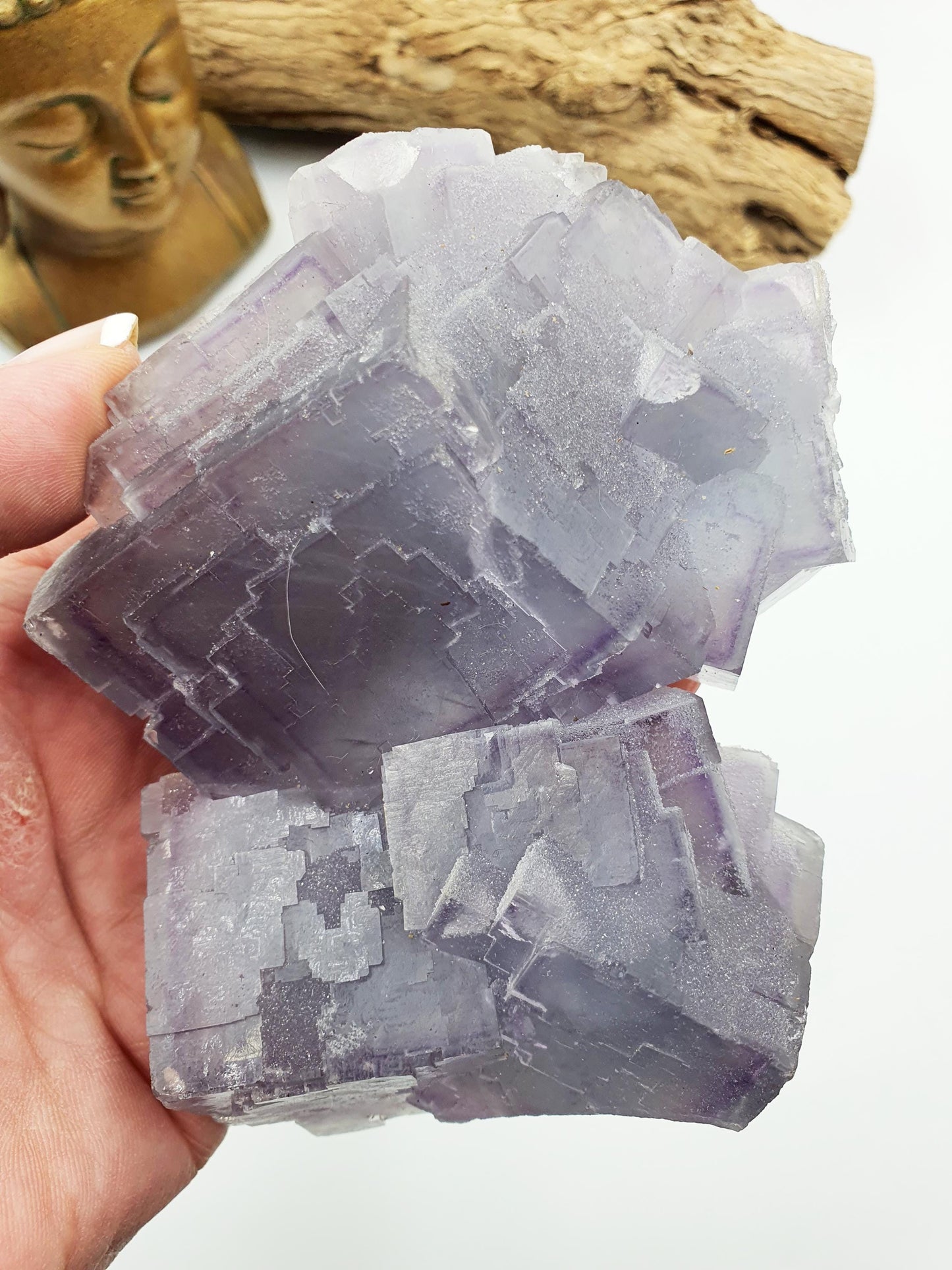 Lilac