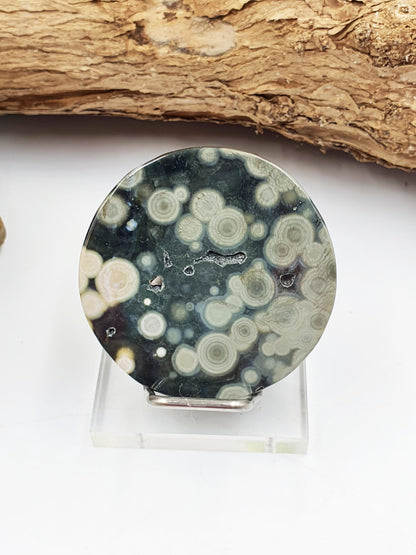 Orbicular Ocean Jasper Disc