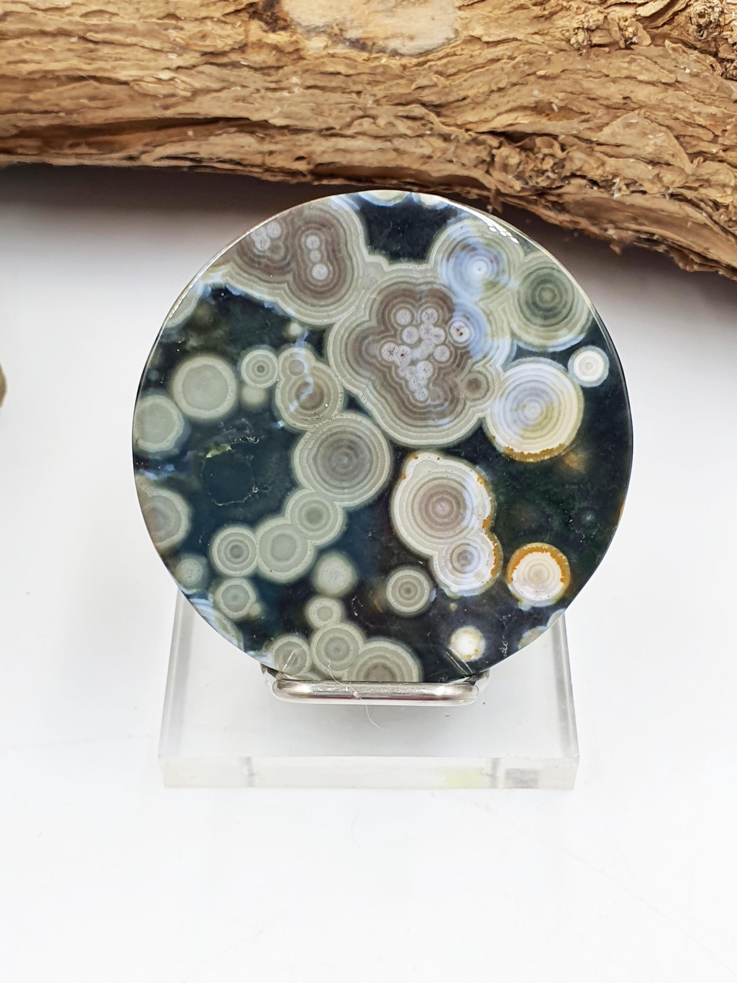 Orbicular Ocean Jasper Disc