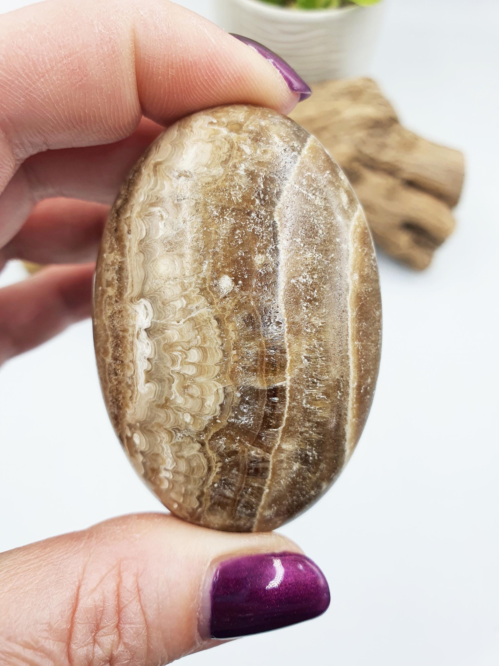 Chocolate Calcite Palm