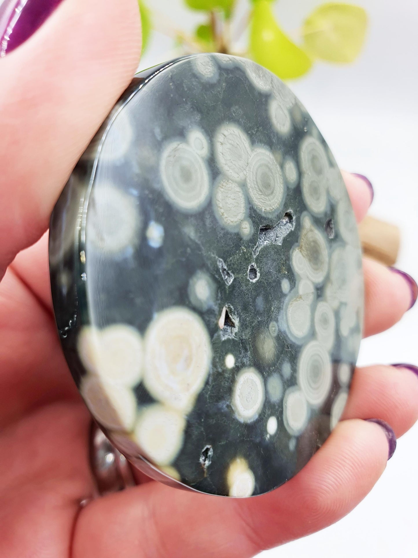Orbicular Ocean Jasper Disc