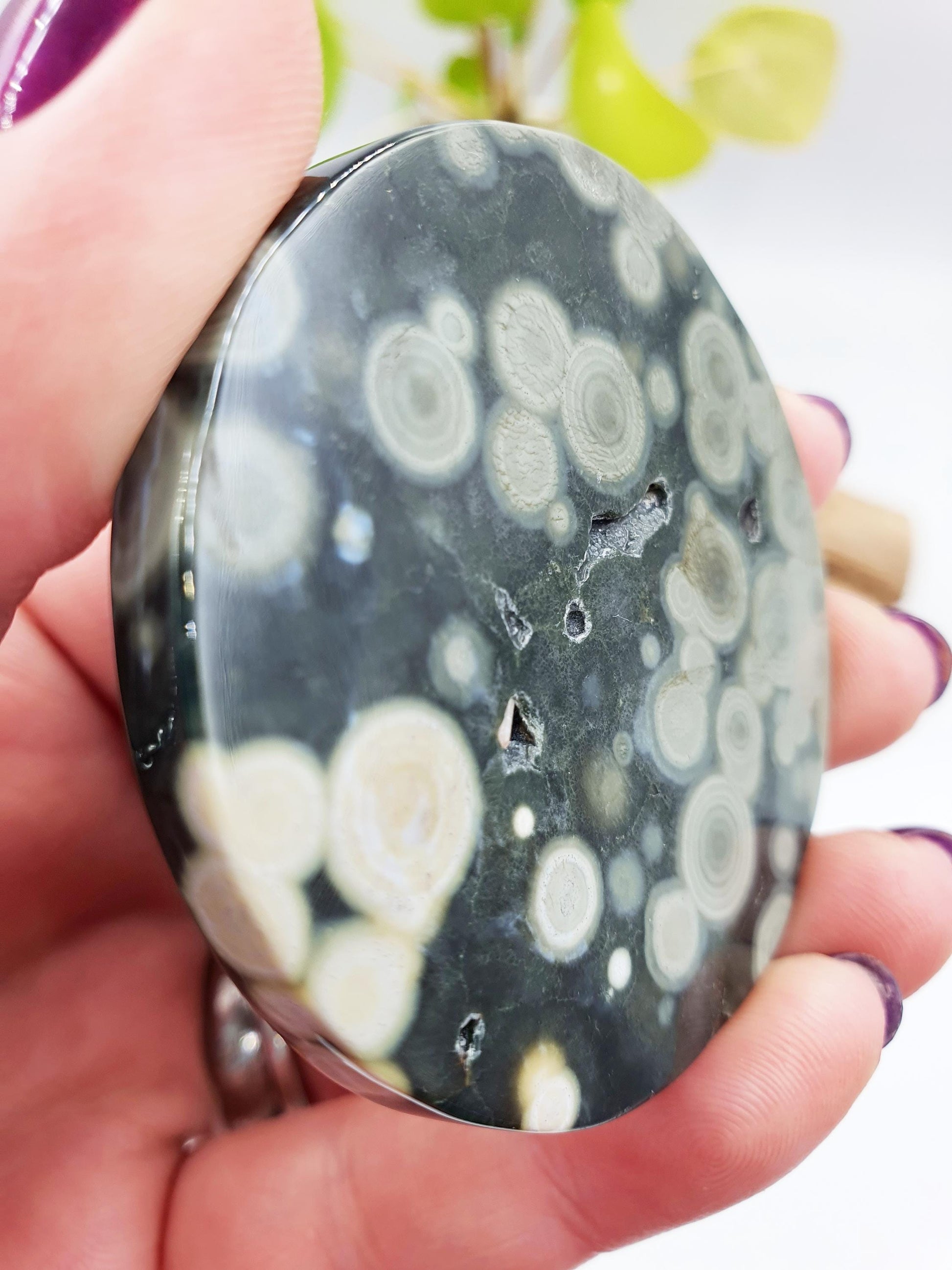 Orbicular Ocean Jasper Disc