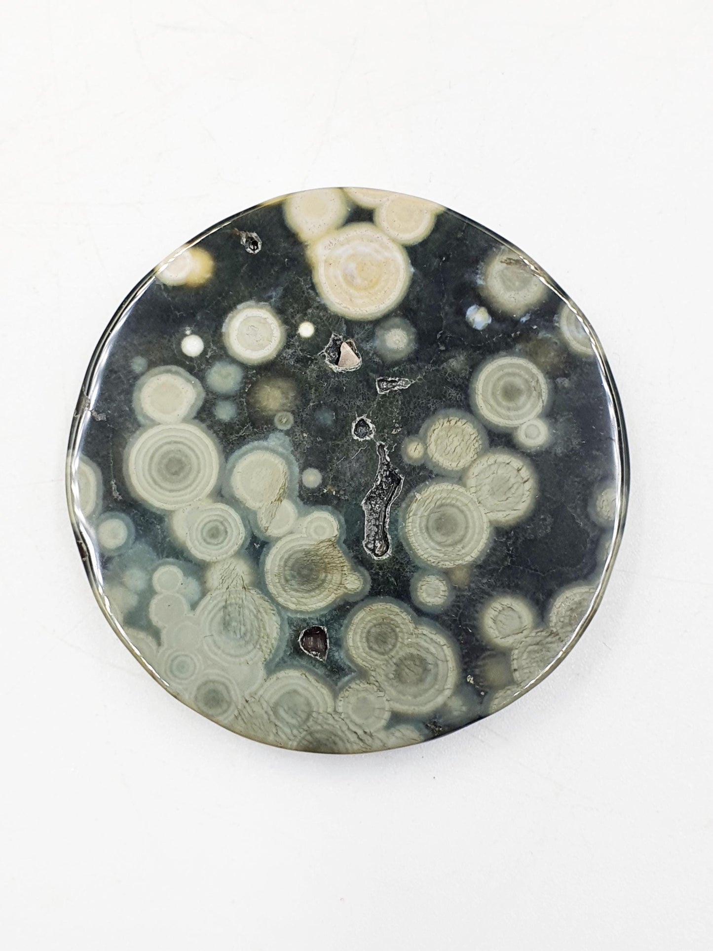 Orbicular Ocean Jasper Disc