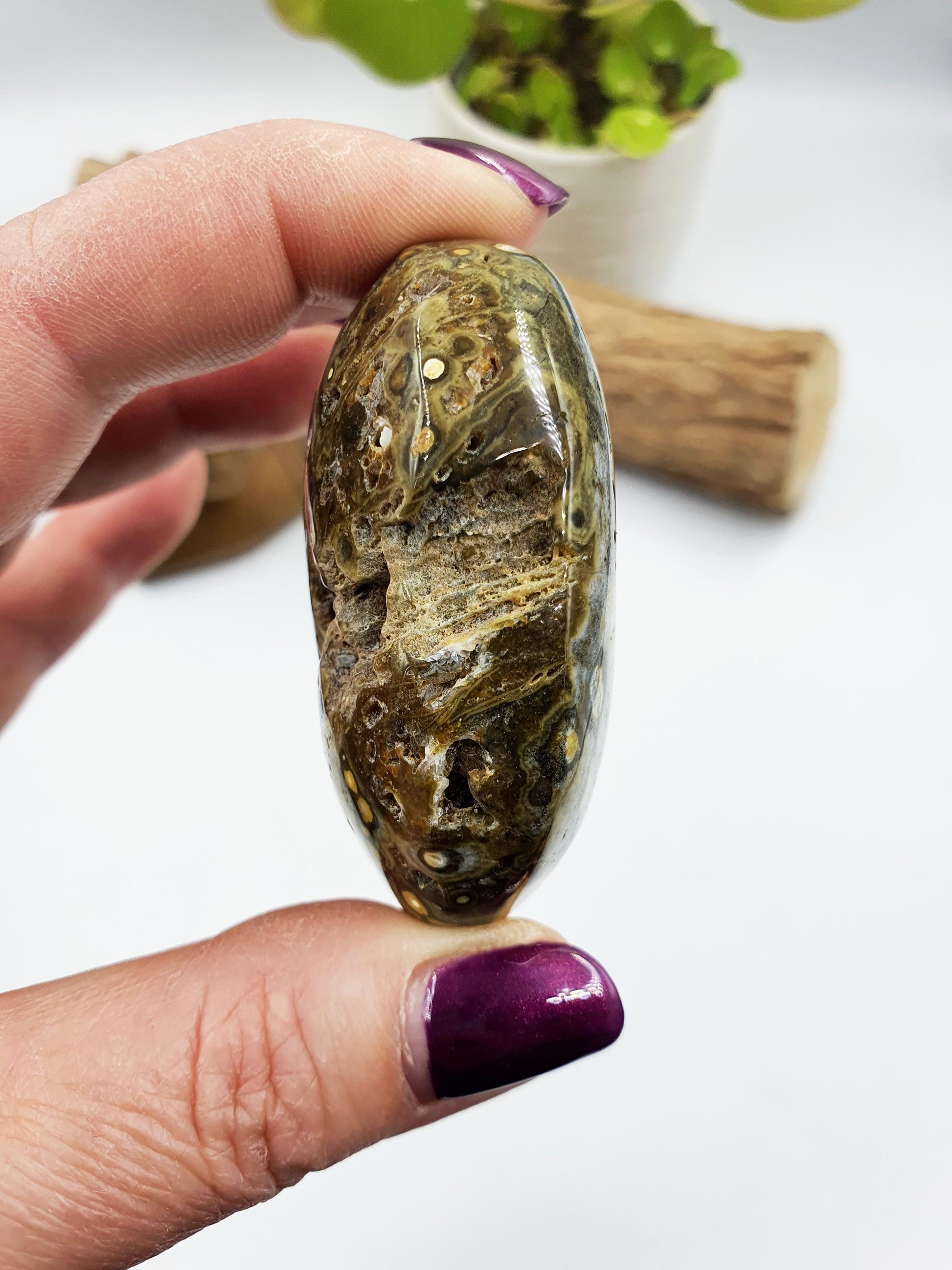 Ocean Jasper Palm