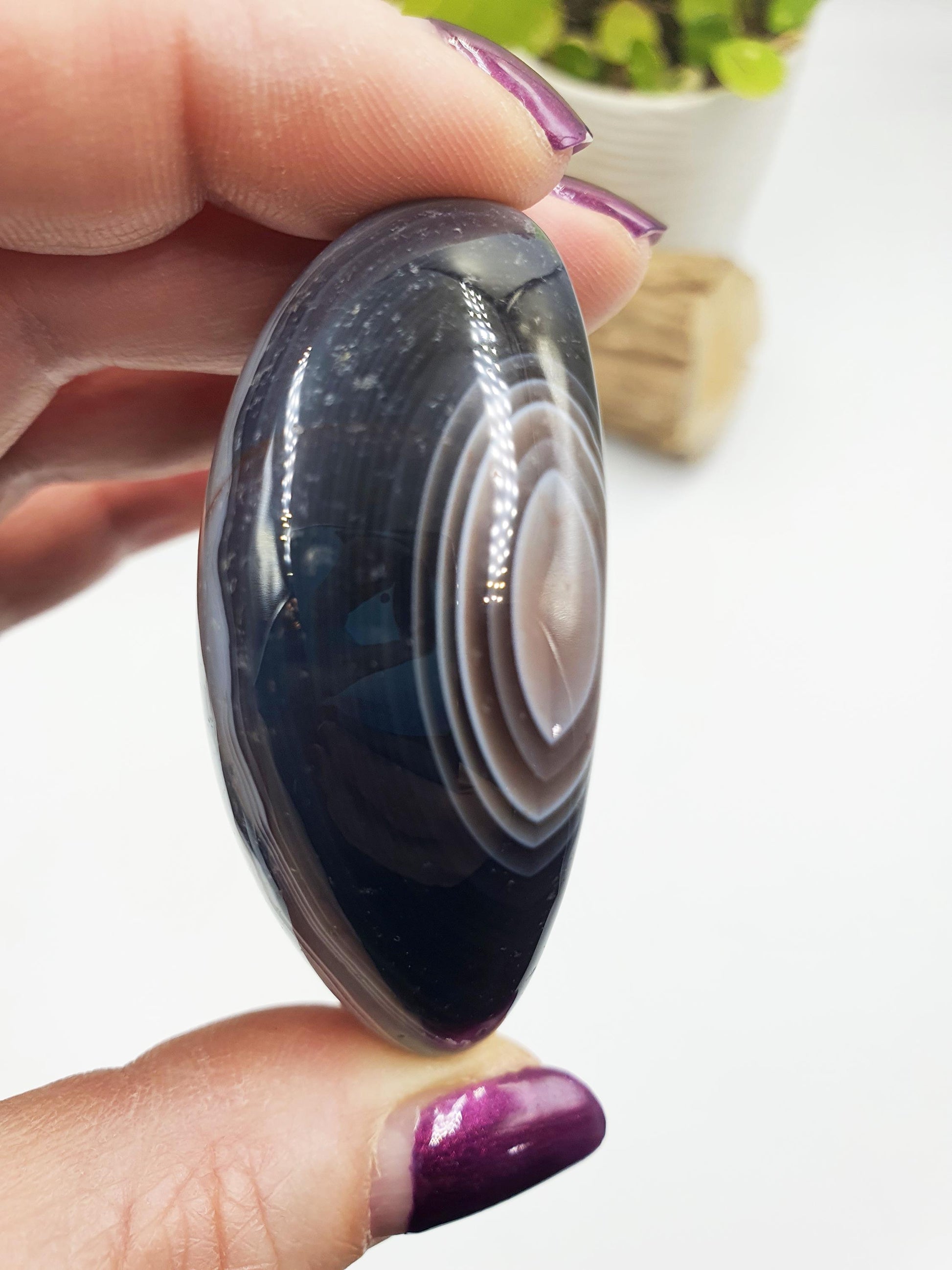 Botswana Agate Palm Stone