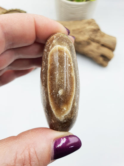 Chocolate Calcite Palm