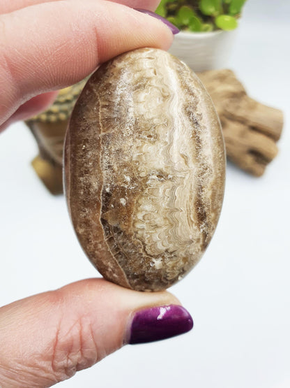 Chocolate Calcite Palm