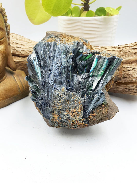 Large Raw Vivianite