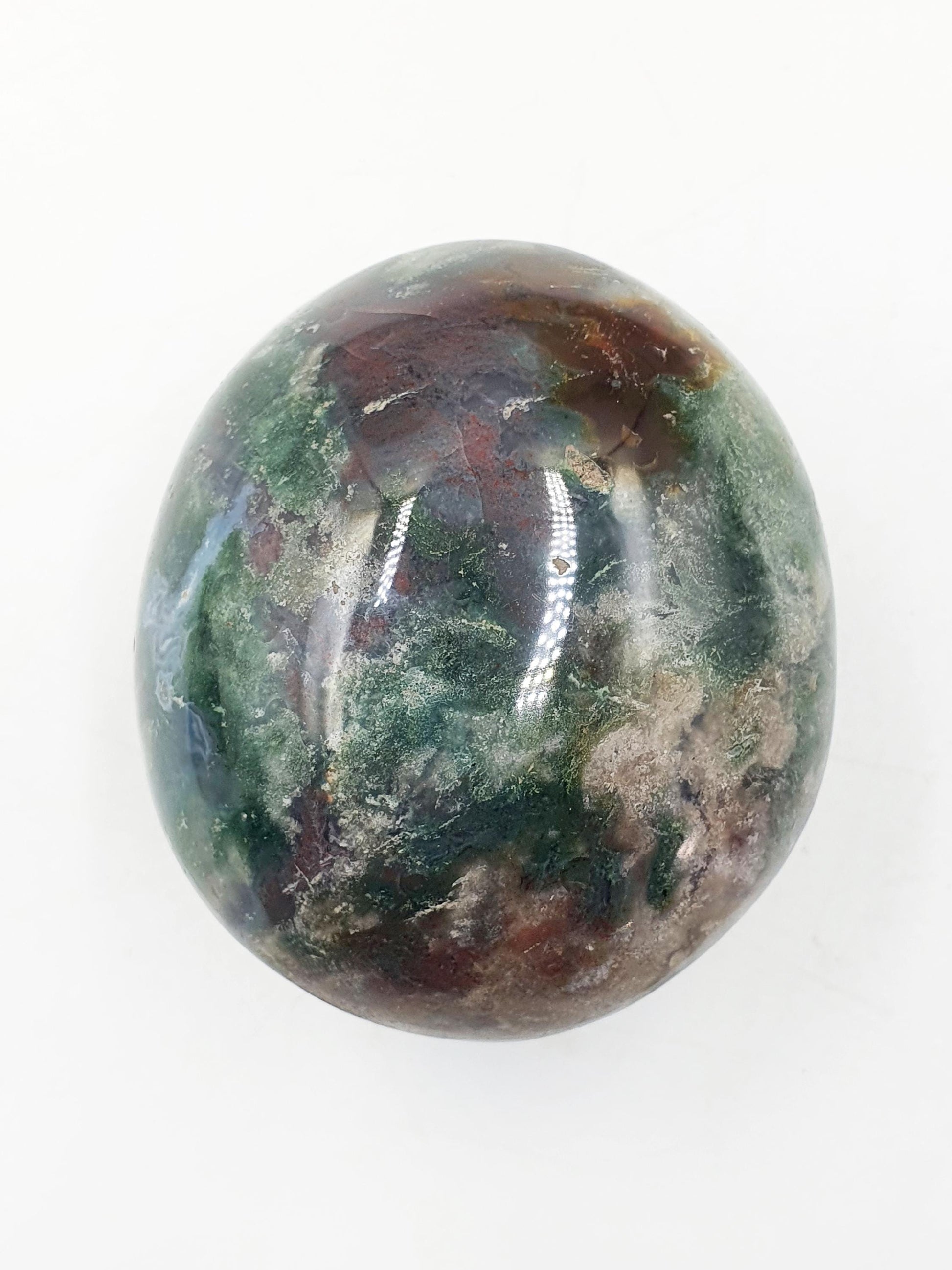 Large Ocean Jasper Palm