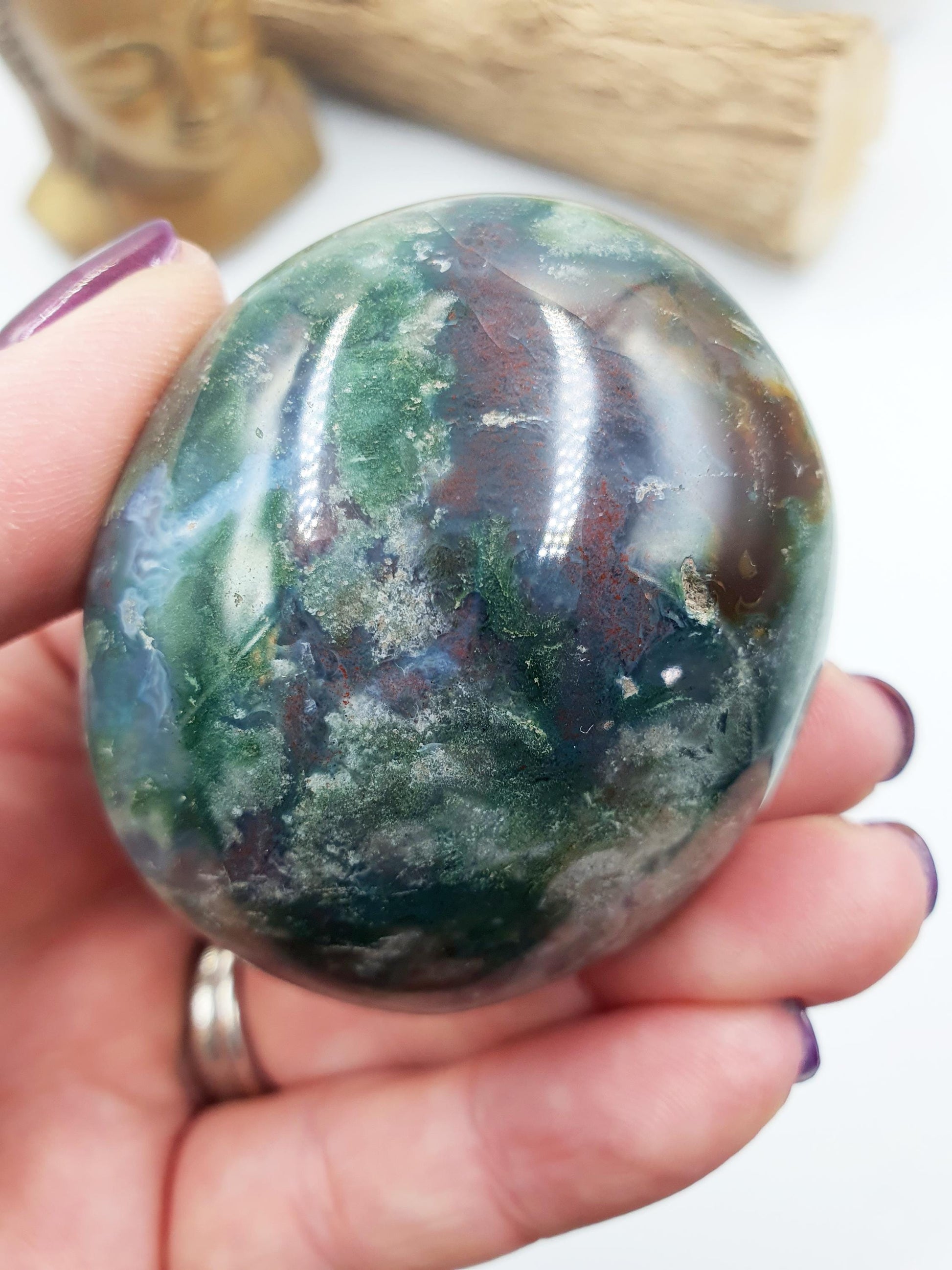 Large Ocean Jasper Palm