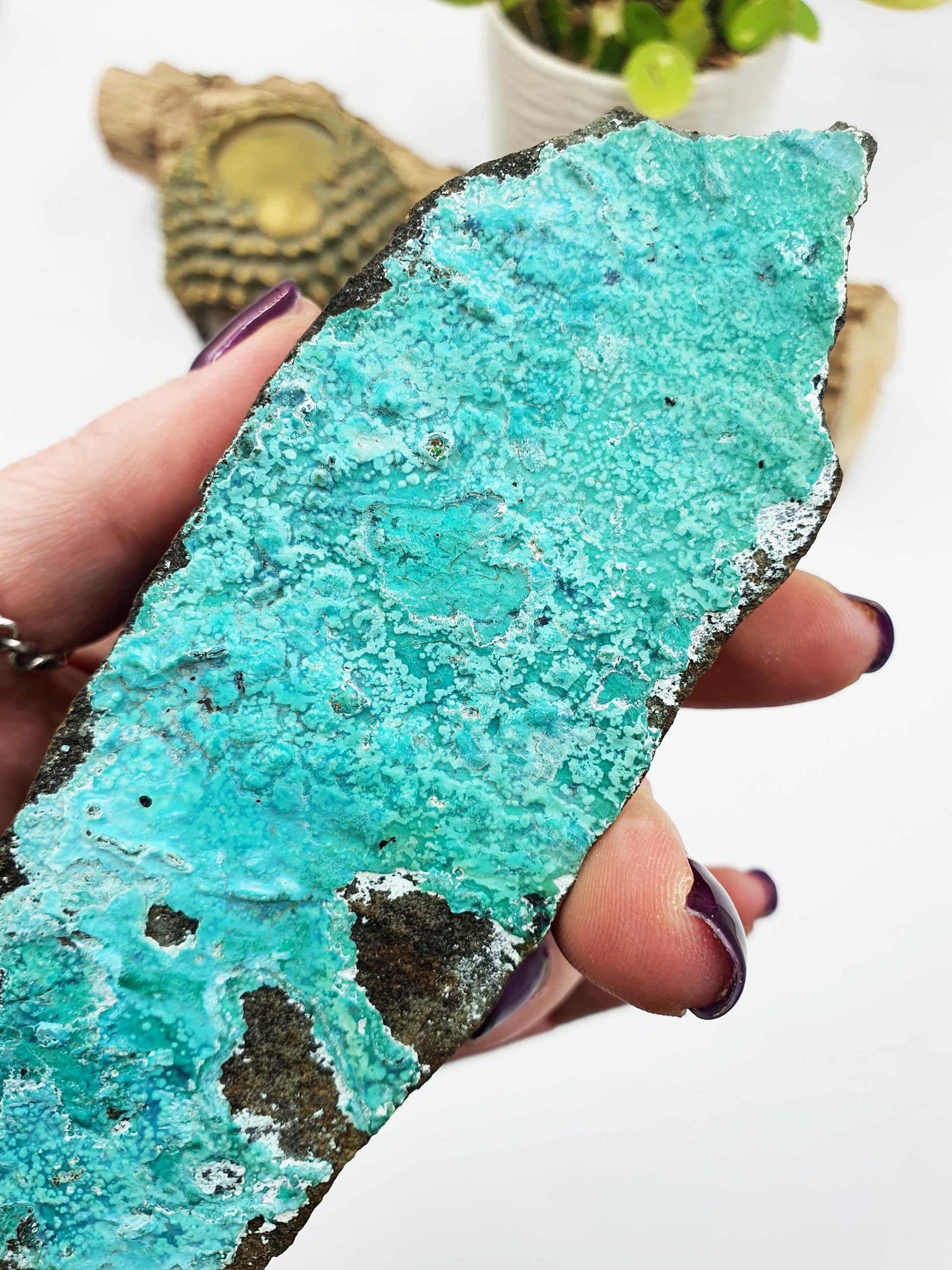 Silica Chrysocolla Specimen