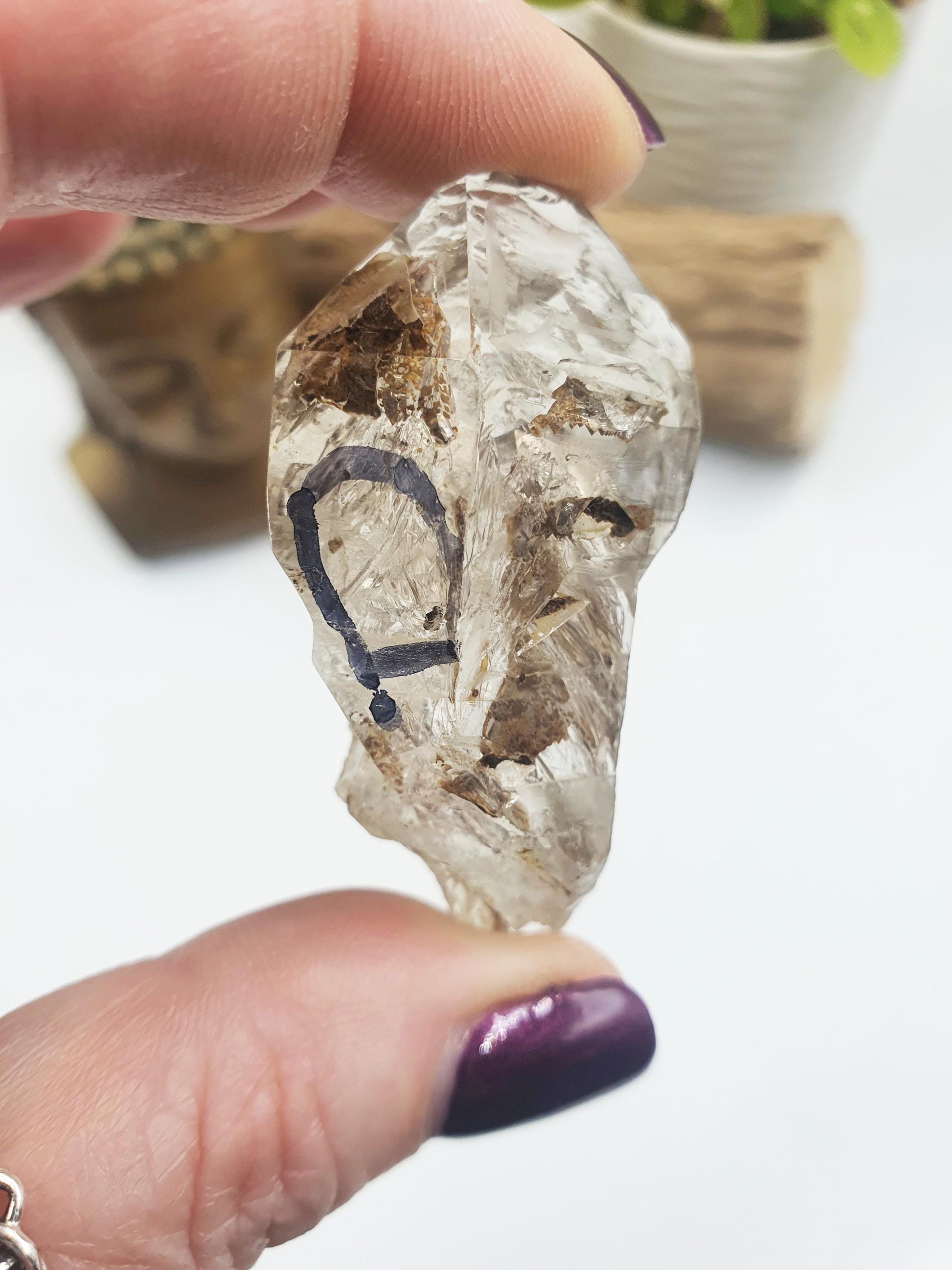Elestial Carbon Enhydro Quartz