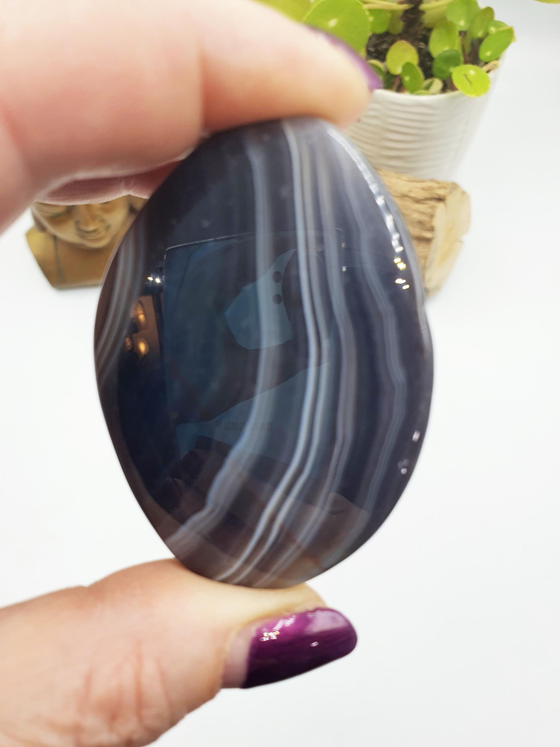 Botswana Agate Palm Stone