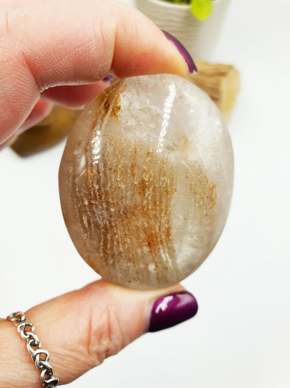 Flashy Thousand Layer Palm - Thoudand Layer (Lodolite) Palm Stone