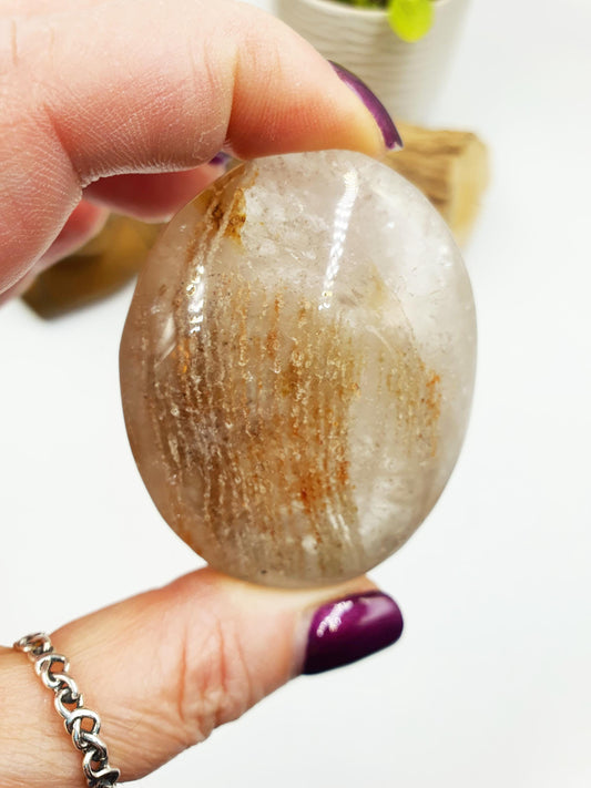 Flashy Thousand Layer Palm - Thoudand Layer (Lodolite) Palm Stone