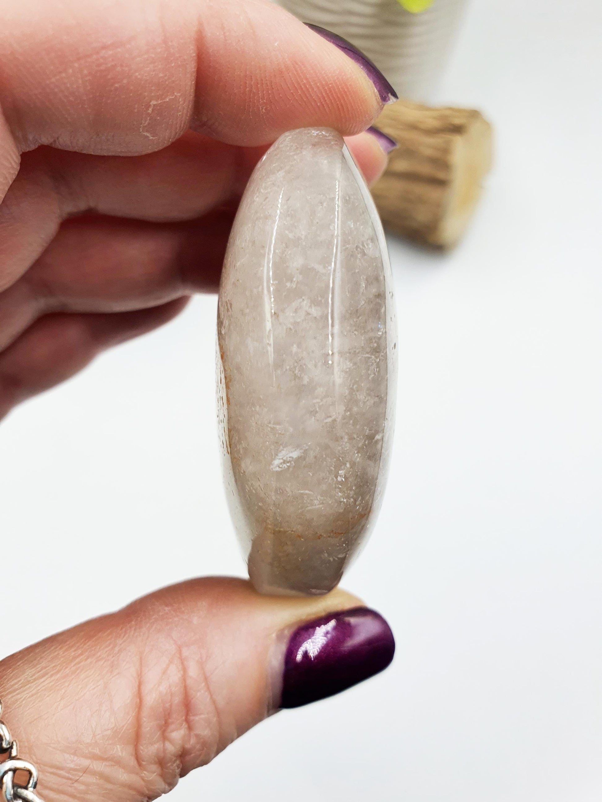 Flashy Thousand Layer Palm - Thoudand Layer (Lodolite) Palm Stone