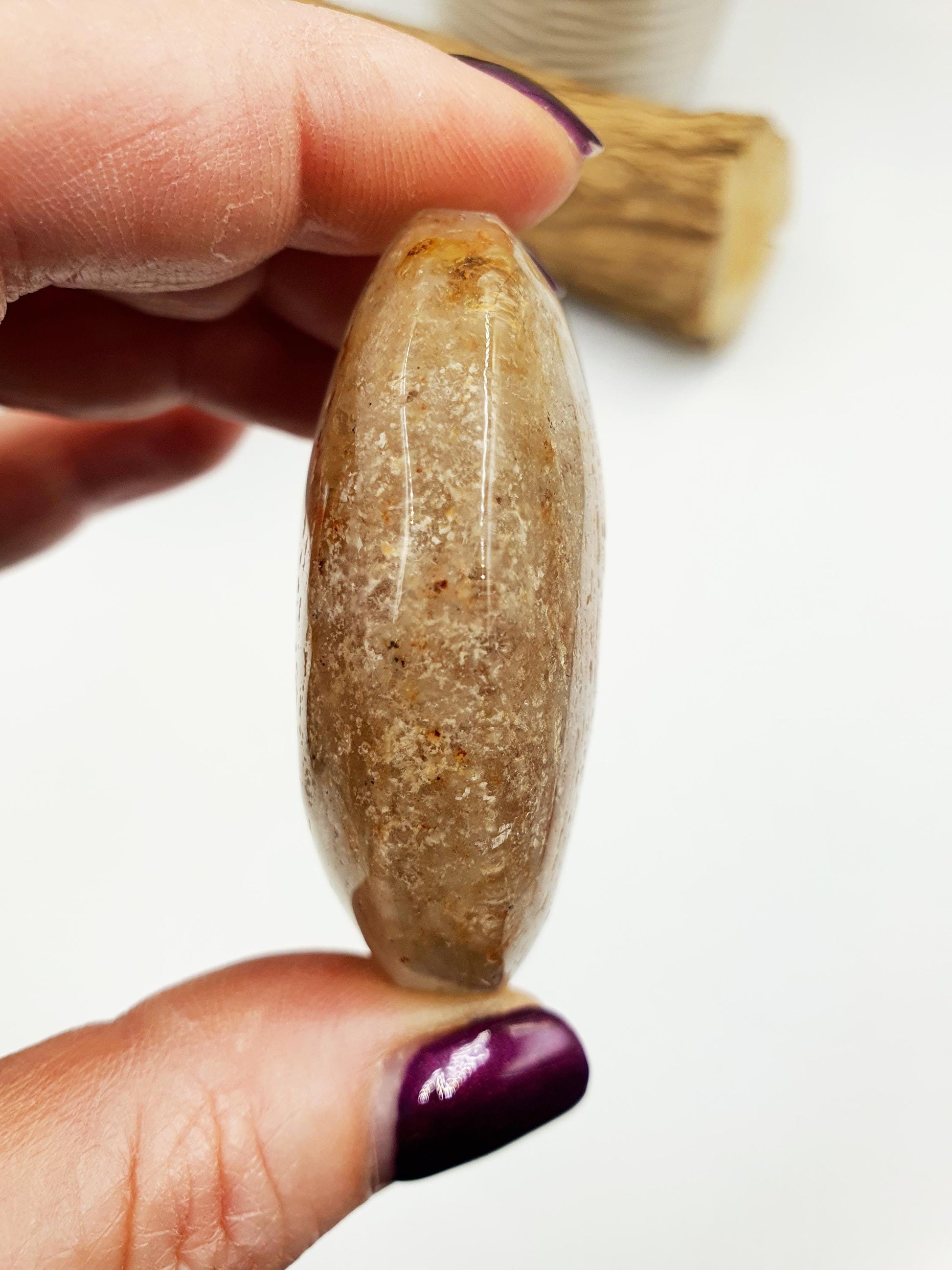 Flashy Thousand Layer Palm - Thoudand Layer (Lodolite) Palm Stone