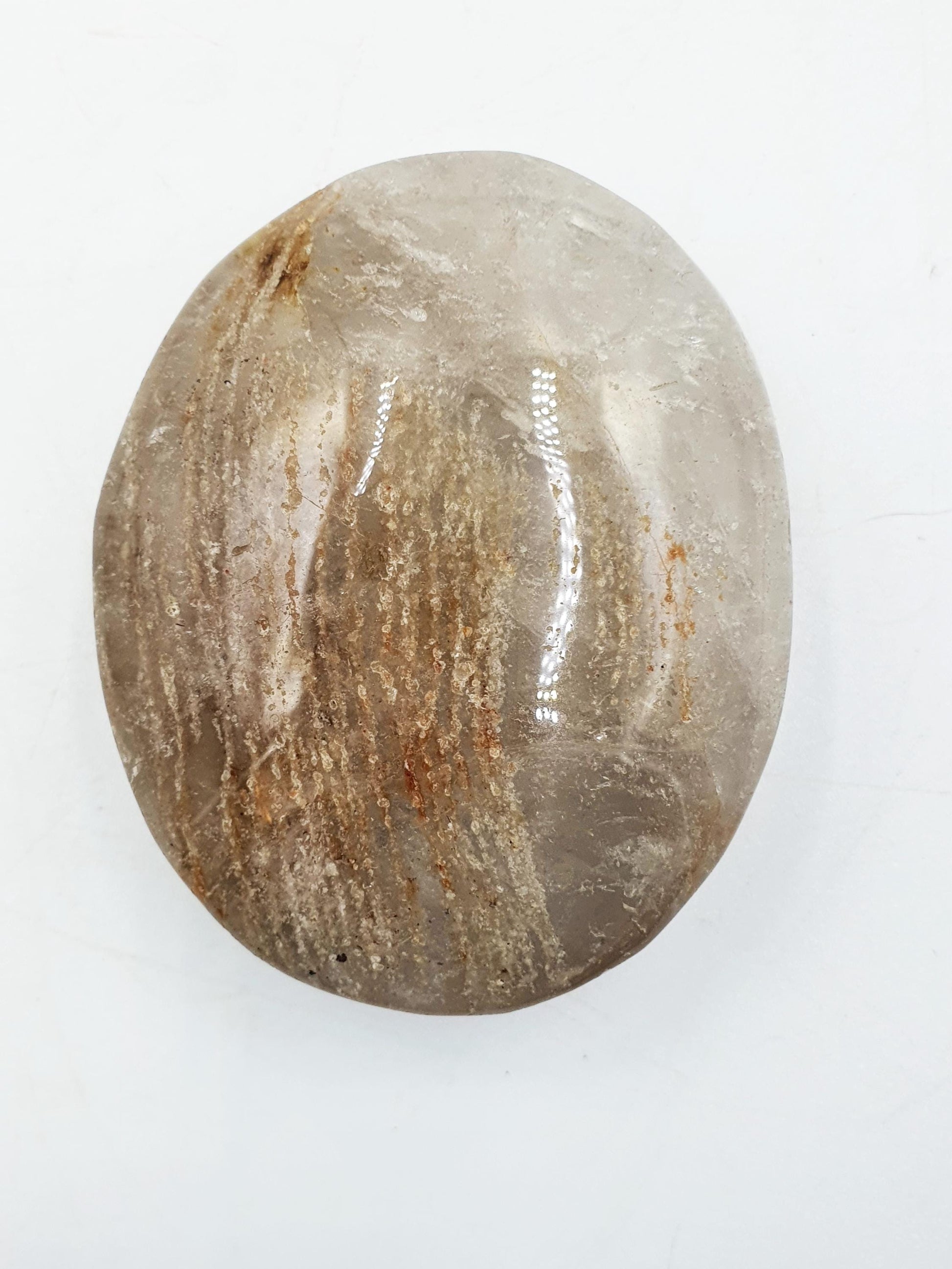 Flashy Thousand Layer Palm - Thoudand Layer (Lodolite) Palm Stone