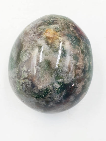 Large Ocean Jasper Palm