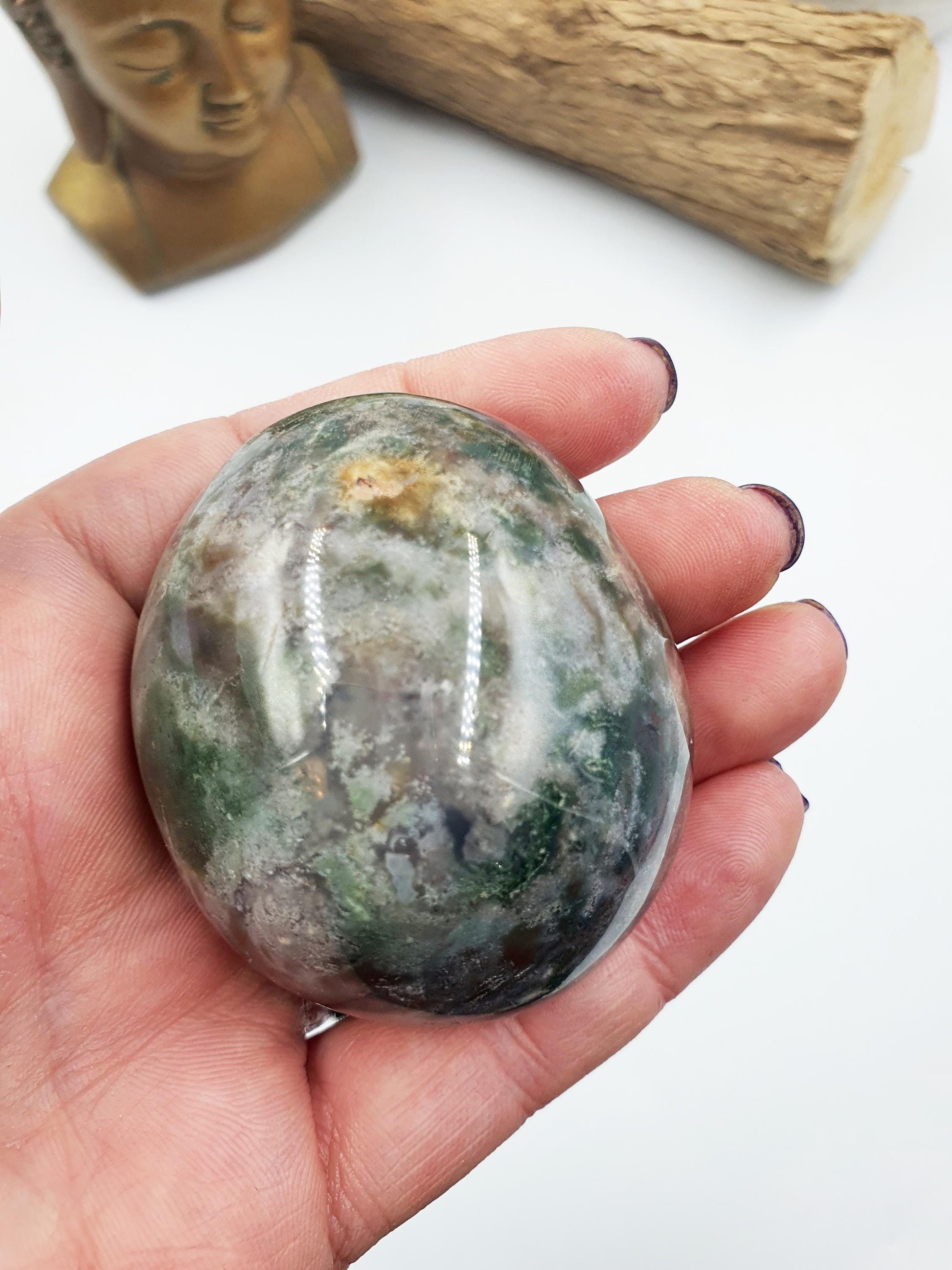Large Ocean Jasper Palm